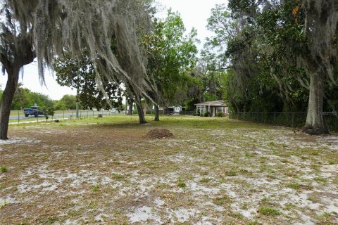 Immobilier commercial à vendre à Wildwood, Floride: 216.46 m2 № 1625829 - photo 14