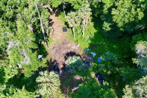 Terreno en venta en DeLand, Florida № 1813465 - foto 3
