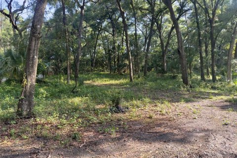 Terreno en venta en DeLand, Florida № 1813465 - foto 6
