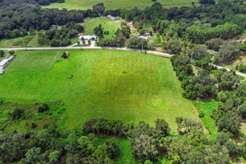 Terreno en venta en Crescent City, Florida № 1910176 - foto 14