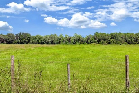 Terreno en venta en Crescent City, Florida № 1910176 - foto 25