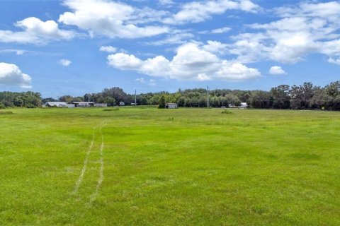 Terreno en venta en Crescent City, Florida № 1910176 - foto 24