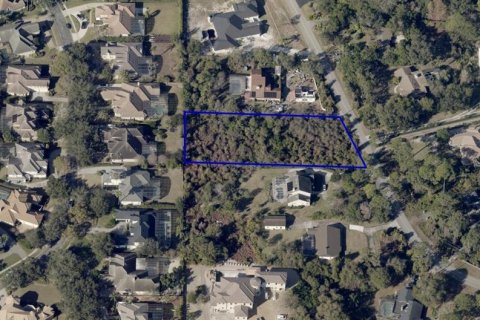 Land in Orlando, Florida № 2384223 - photo 3