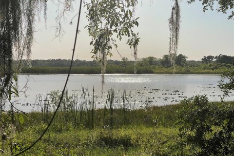 Land in Groveland, Florida № 1769835 - photo 14