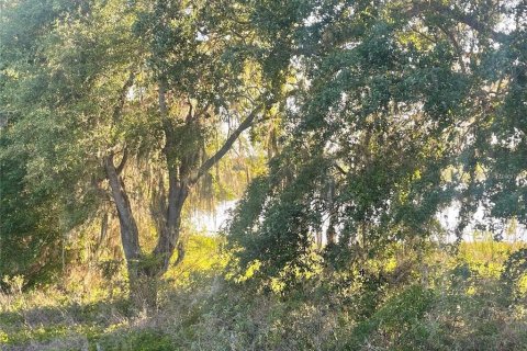 Land in Groveland, Florida № 1769835 - photo 10