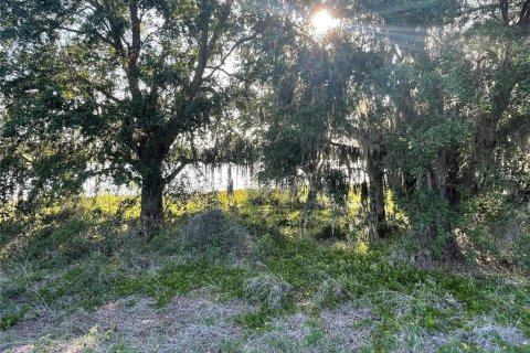 Land in Groveland, Florida № 1769835 - photo 18