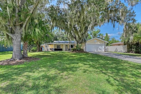 Villa ou maison à vendre à Palmetto, Floride: 3 chambres, 115.01 m2 № 2398968 - photo 2