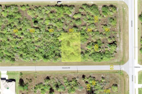 Terreno en venta en Port Charlotte, Florida № 1264262 - foto 3