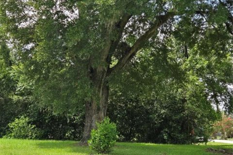 Villa ou maison à vendre à Ocala, Floride: 3 chambres, 119.75 m2 № 1840296 - photo 4