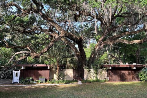 House in Gainesville, Florida 3 bedrooms, 206.8 sq.m. № 1650513 - photo 1