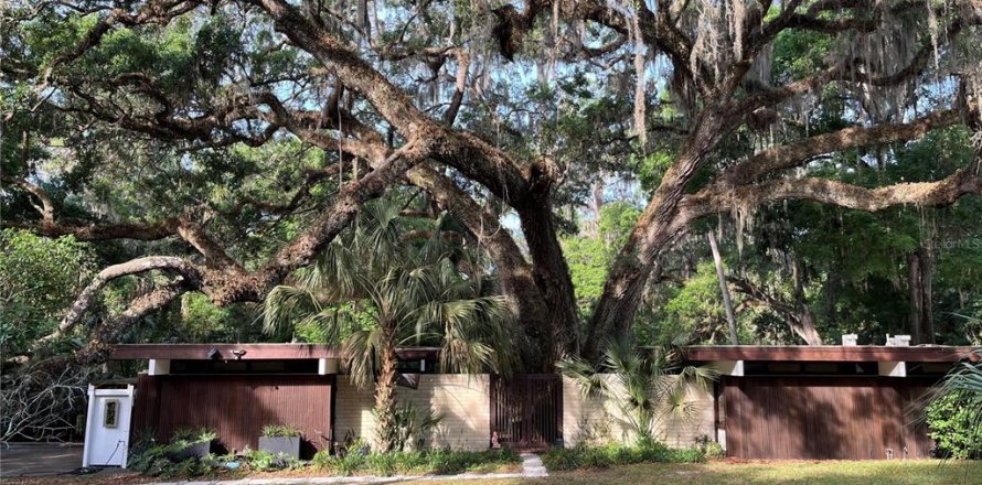 House in Gainesville, Florida 3 bedrooms, 206.8 sq.m. № 1650513