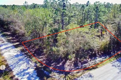 Land in Punta Gorda, Florida № 2161968 - photo 3