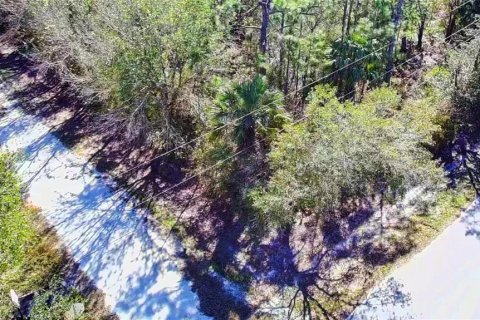 Land in Punta Gorda, Florida № 2161968 - photo 7