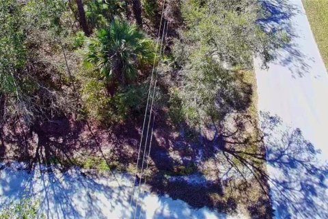 Land in Punta Gorda, Florida № 2161968 - photo 8