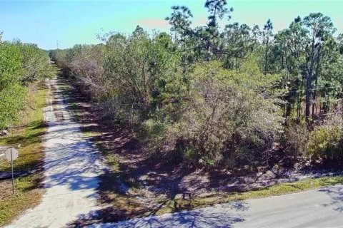 Land in Punta Gorda, Florida № 2161968 - photo 13