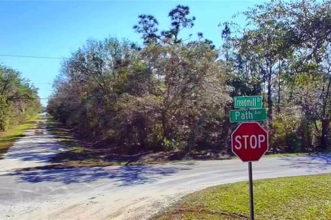 Land in Punta Gorda, Florida № 2161968 - photo 6