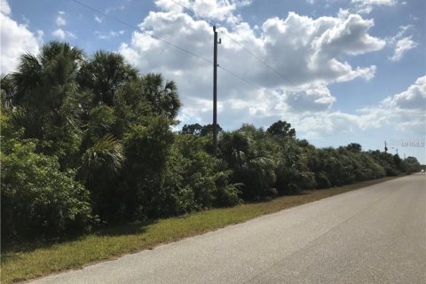 Land in Port Charlotte, Florida № 2228879 - photo 3