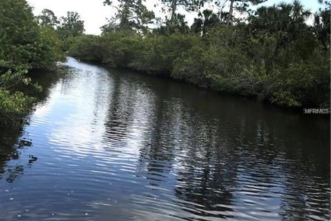 Land in Port Charlotte, Florida № 2228879 - photo 4