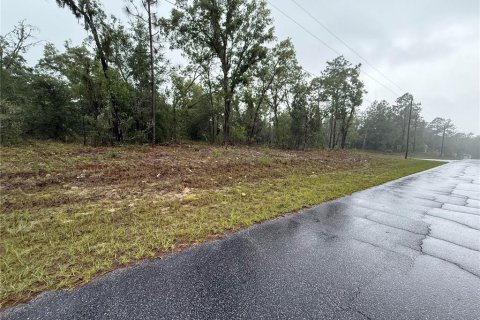 Terrain à vendre à Dunnellon, Floride № 2214706 - photo 4
