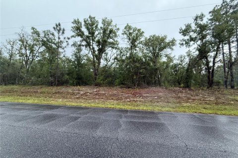 Terrain à vendre à Dunnellon, Floride № 2214706 - photo 6