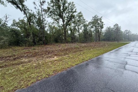 Terrain à vendre à Dunnellon, Floride № 2214706 - photo 2