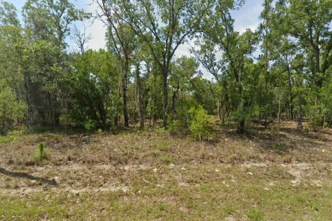 Terrain à Dunnellon, Floride № 2214706