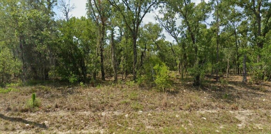Terrain à Dunnellon, Floride № 2214706