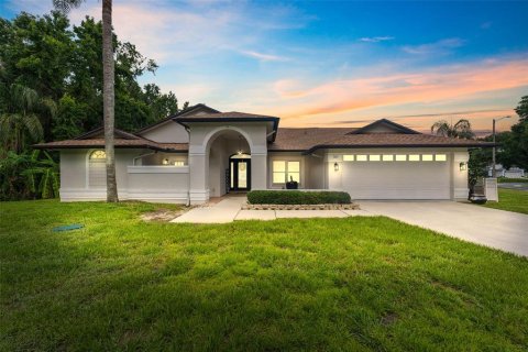 Villa ou maison à vendre à Valrico, Floride: 4 chambres, 204.38 m2 № 1793602 - photo 1