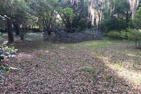 House in Williston, Florida 3 bedrooms, 124.86 sq.m. № 1718251 - photo 29