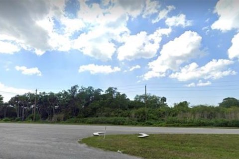Land in Palmetto, Florida № 1563785 - photo 3
