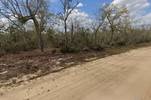 Terrain à vendre à Interlachen, Floride № 2223877 - photo 5