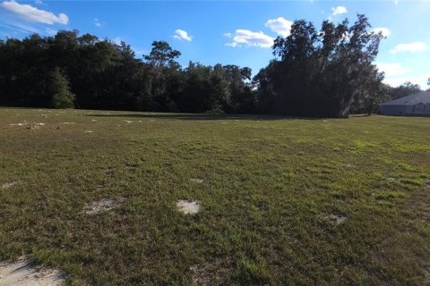 Land in Silver Springs Shores, Florida № 926933 - photo 14