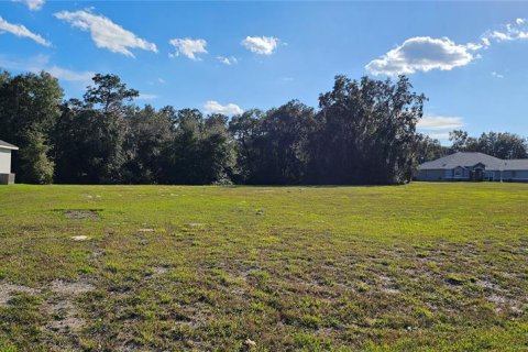 Land in Silver Springs Shores, Florida № 926933 - photo 27