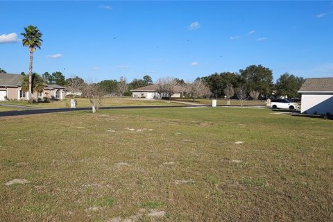 Land in Silver Springs Shores, Florida № 926933 - photo 15