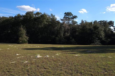 Land in Silver Springs Shores, Florida № 926933 - photo 17