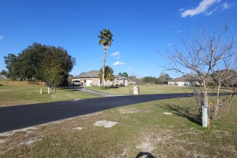Land in Silver Springs Shores, Florida № 926933 - photo 5