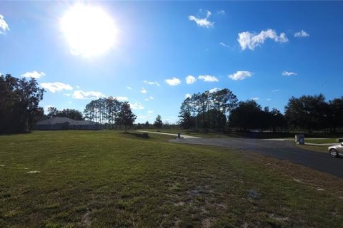 Land in Silver Springs Shores, Florida № 926933 - photo 12