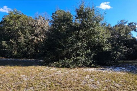 Land in Silver Springs Shores, Florida № 926933 - photo 24