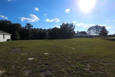 Land in Silver Springs Shores, Florida № 926933 - photo 13