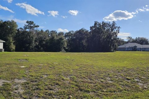 Land in Silver Springs Shores, Florida № 926933 - photo 3