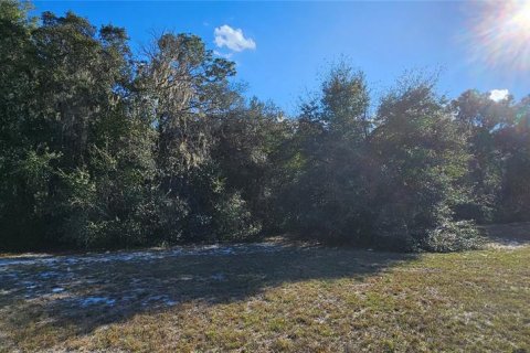 Land in Silver Springs Shores, Florida № 926933 - photo 25