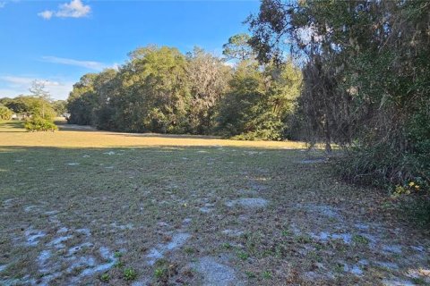 Land in Silver Springs Shores, Florida № 926933 - photo 21