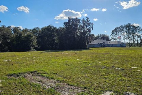 Land in Silver Springs Shores, Florida № 926933 - photo 7
