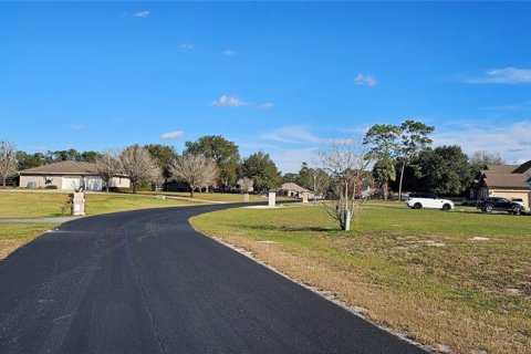 Land in Silver Springs Shores, Florida № 926933 - photo 30