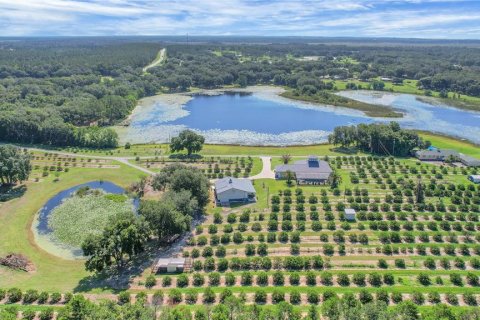 Villa ou maison à vendre à Weirsdale, Floride: 4 chambres, 269.14 m2 № 1844315 - photo 5
