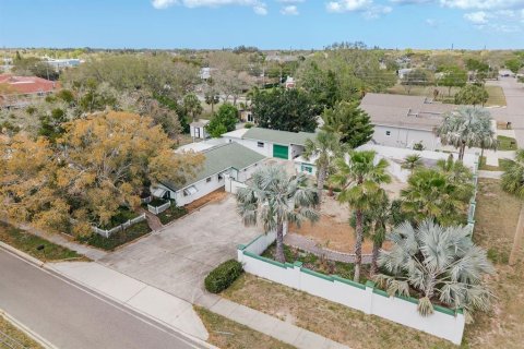 Land in Palm Harbor, Florida № 2266490 - photo 3