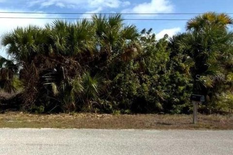 Land in Port Charlotte, Florida № 2162051