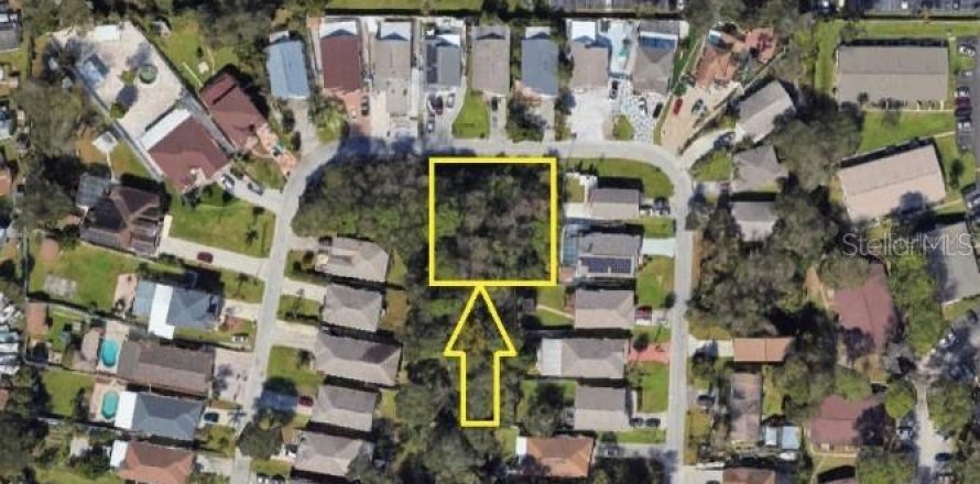 Land in Tampa, Florida № 1581768