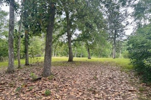 Land in Branford, Florida № 1677464 - photo 5