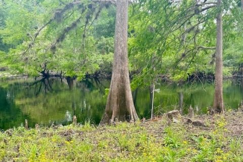 Land in Branford, Florida № 1677464 - photo 9